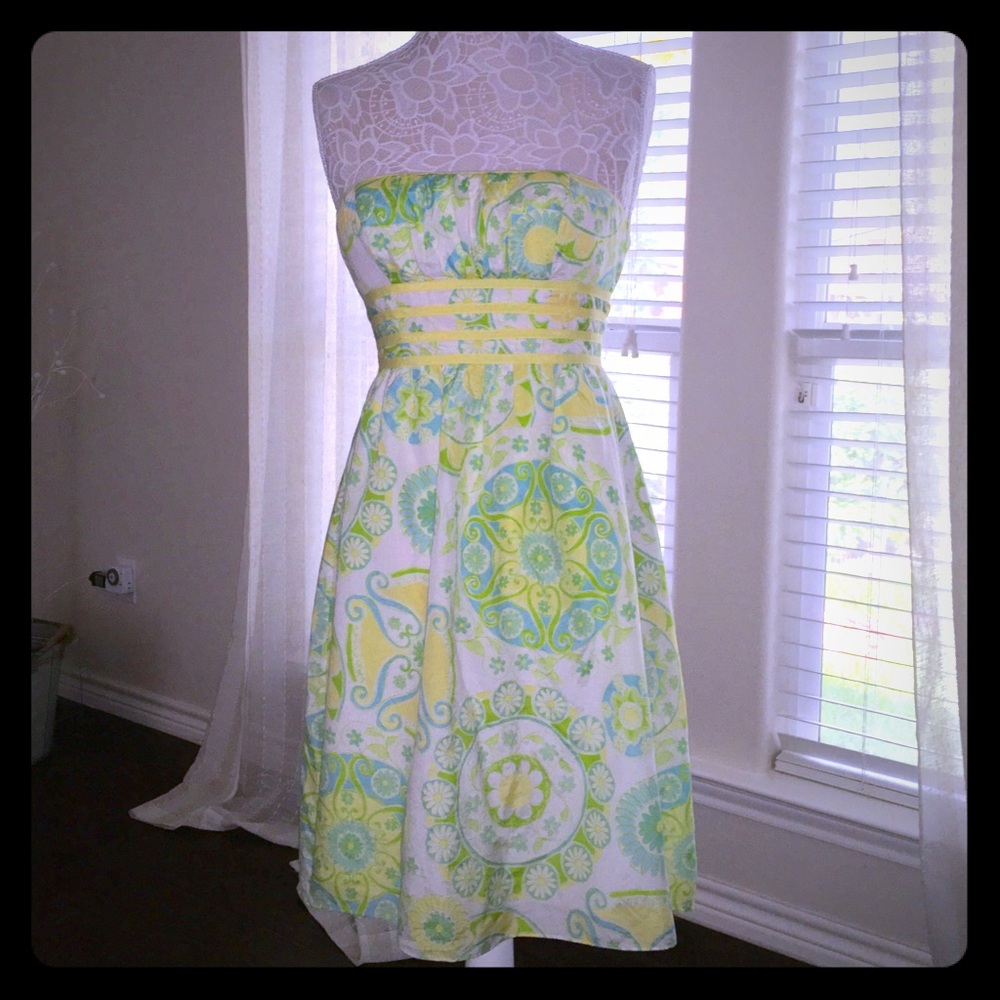 Lilly Pulitzer Tube Dress